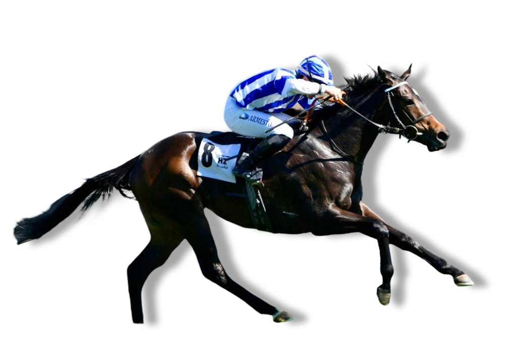 A racehorse and jockey at full gallop